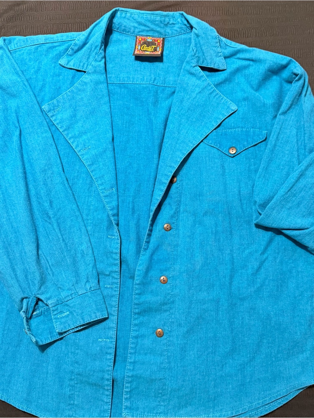 Circle T Vintage Turquoise Button-Up